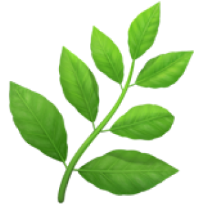 emoji feuille verte